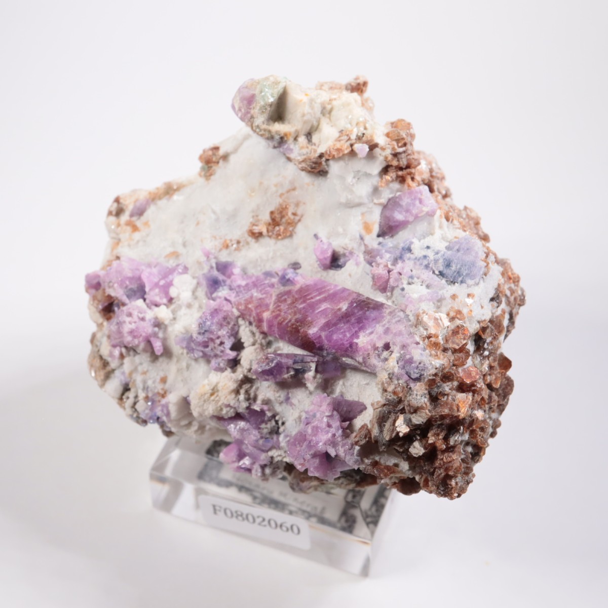 �ͥѡ��뻺 ��ӡ�