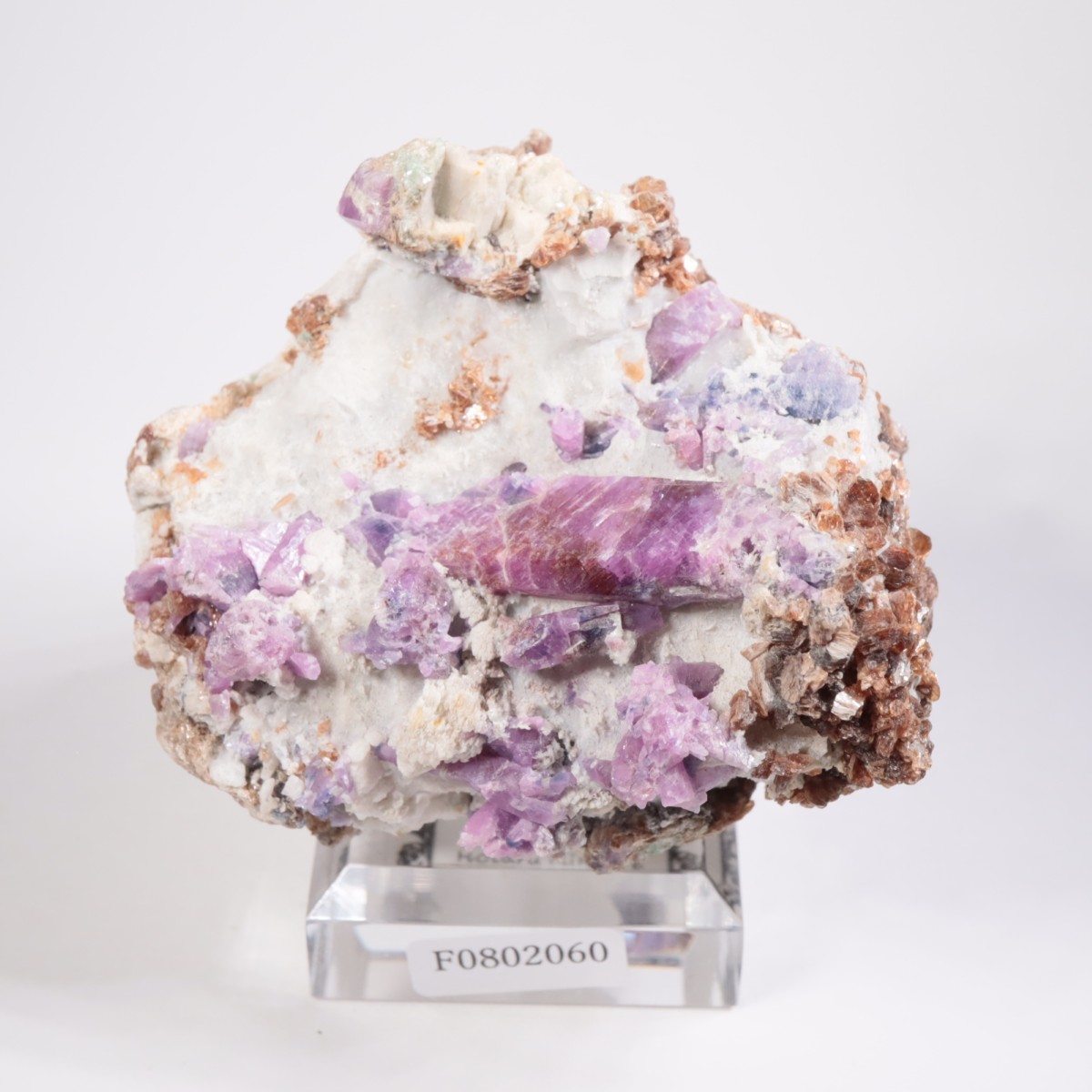 �ͥѡ��뻺 ��ӡ�