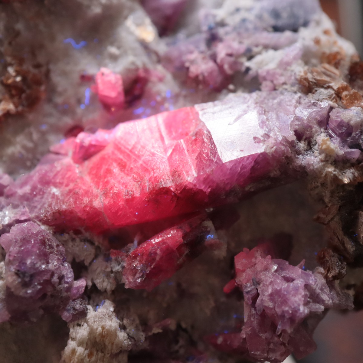 �ͥѡ��뻺 ��ӡ�