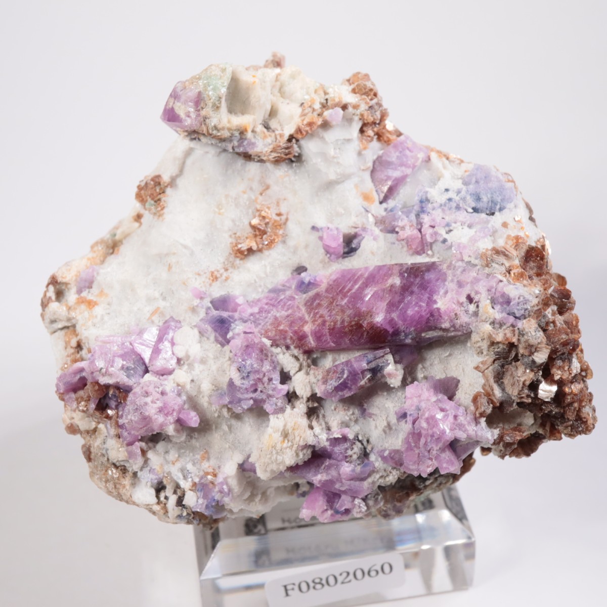 �ͥѡ��뻺 ��ӡ�