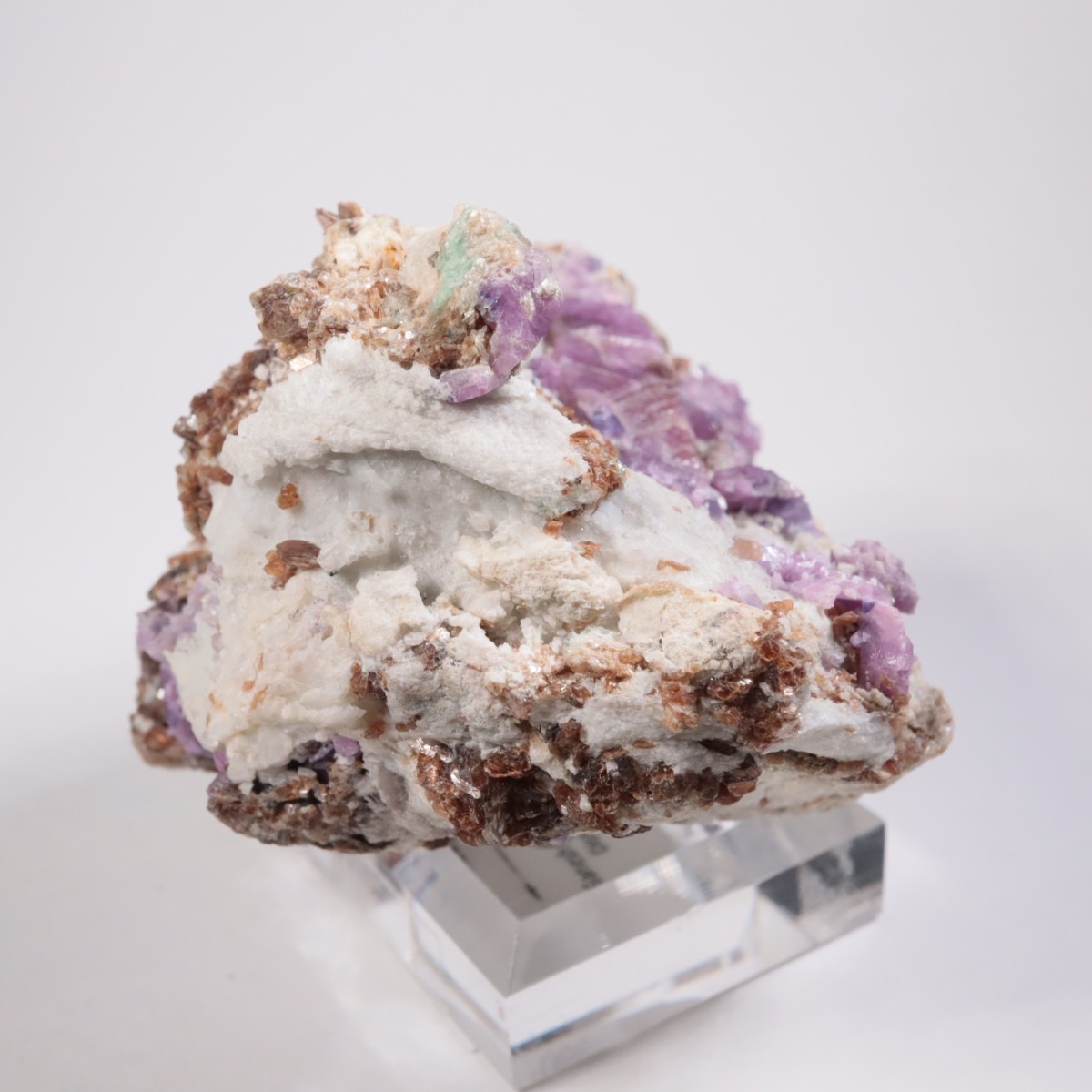 �ͥѡ��뻺 ��ӡ�