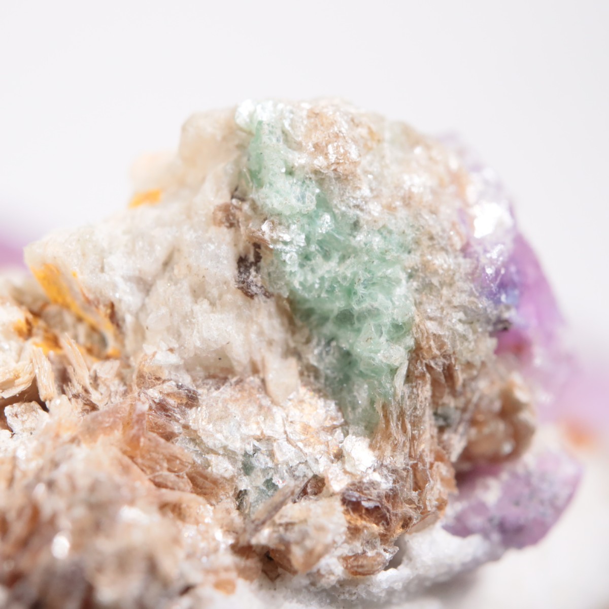 �ͥѡ��뻺 ��ӡ�