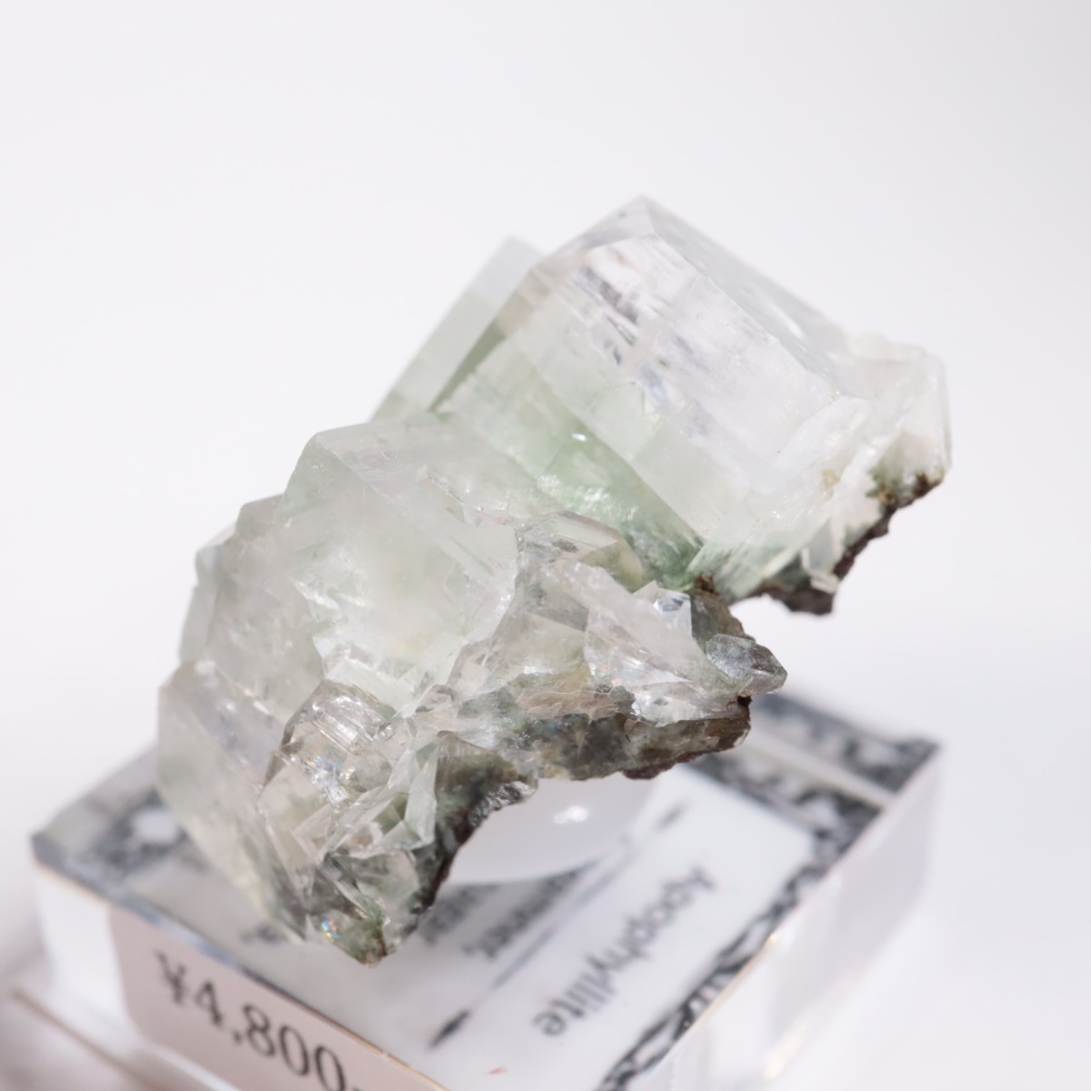 ����ɻ� ���ݥե��饤��