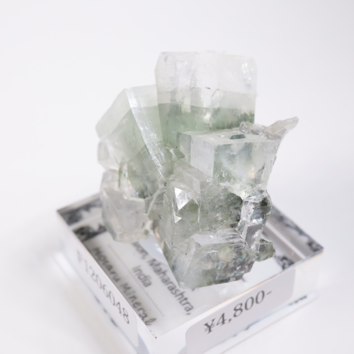 ����ɻ� ���ݥե��饤��