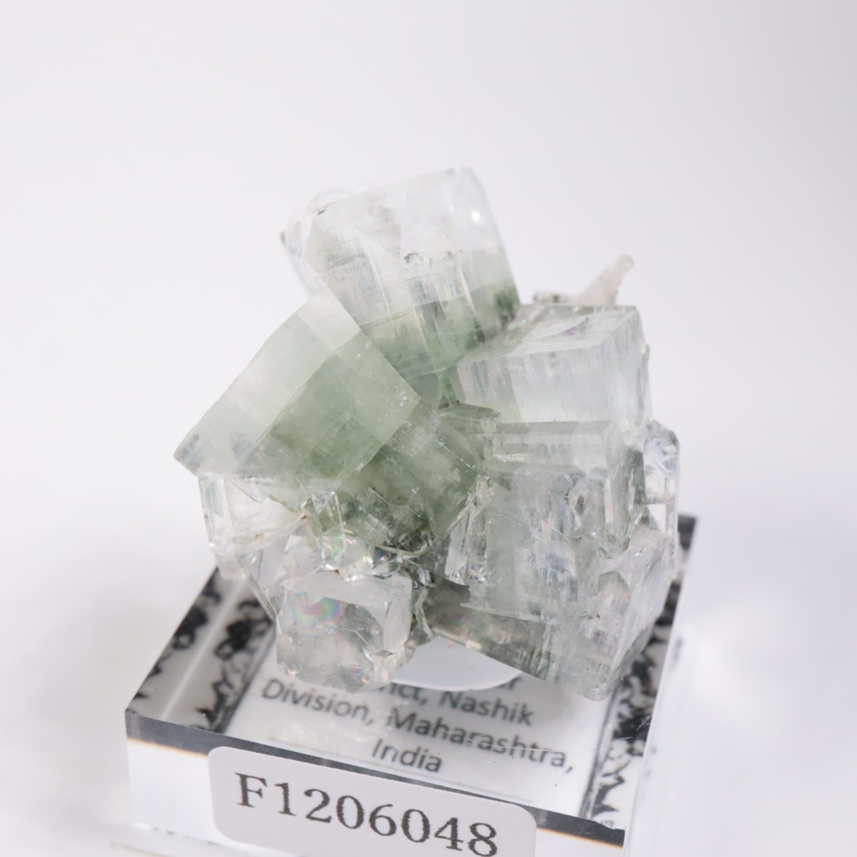 ����ɻ� ���ݥե��饤��