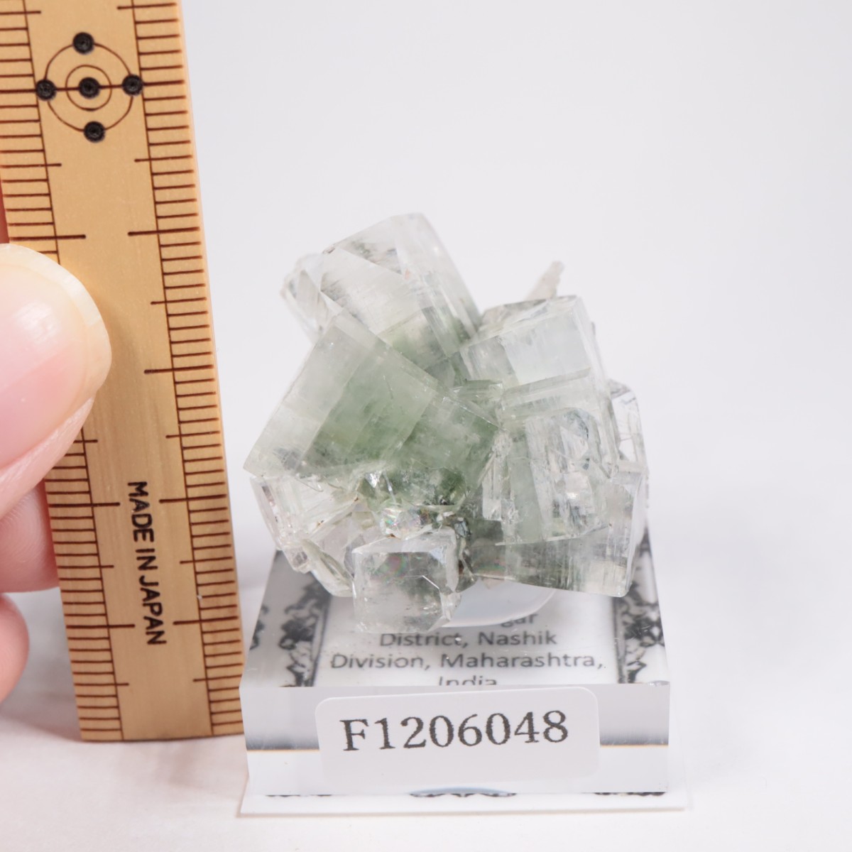 ����ɻ� ���ݥե��饤��