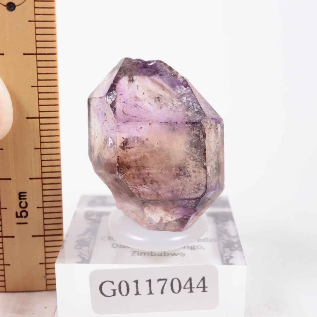 ����Х֥��� ���᥷����