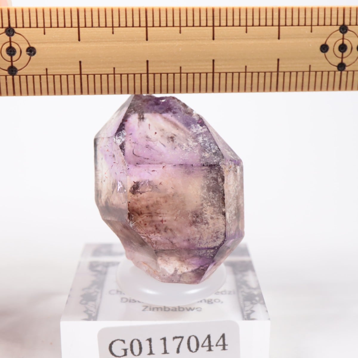 ����Х֥��� ���᥷����