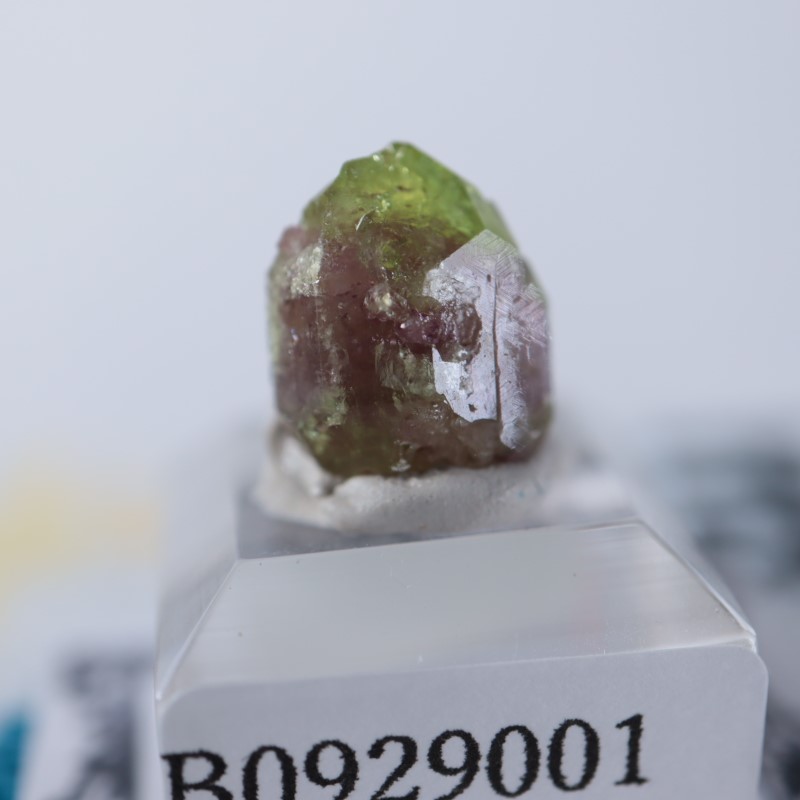 ジェフリー鉱山 ベスブ石（ベスビアナイト） | 鉱物標本,ハ行,ベスビア