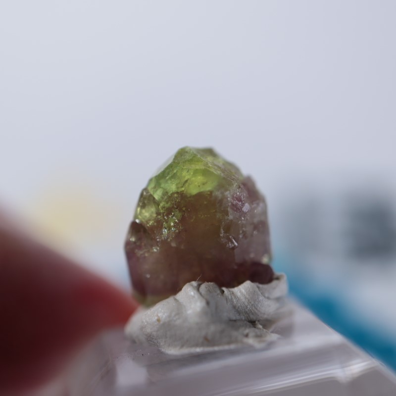 ジェフリー鉱山 ベスブ石（ベスビアナイト） | 鉱物標本,ハ行,ベスビア