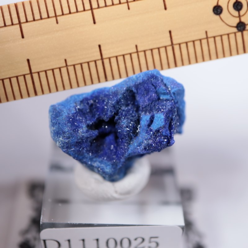 ����뻺�������饤��