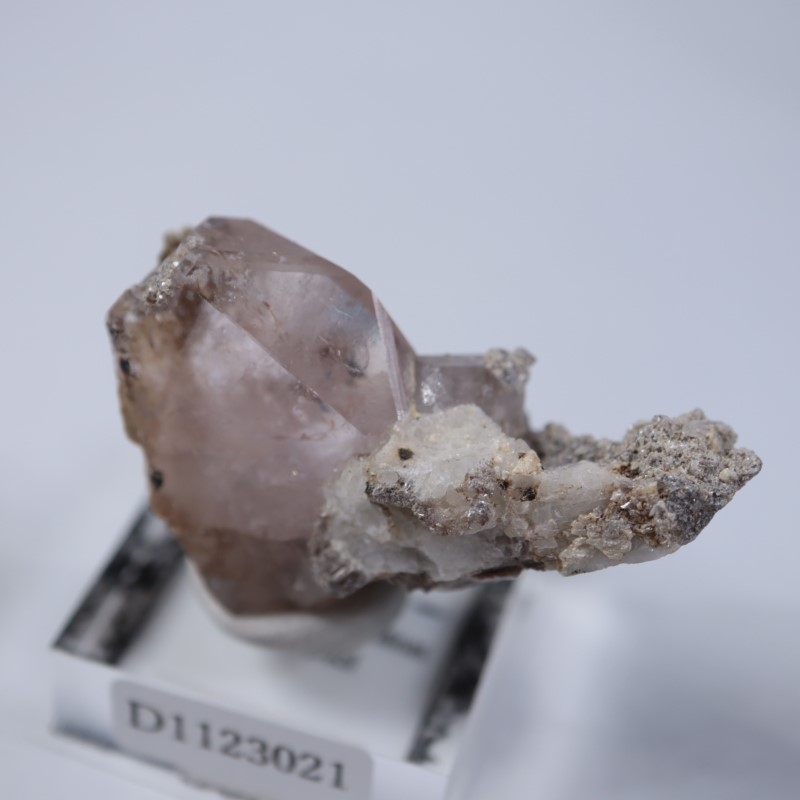 �ߥʥ������饤��������륬�ʥ���