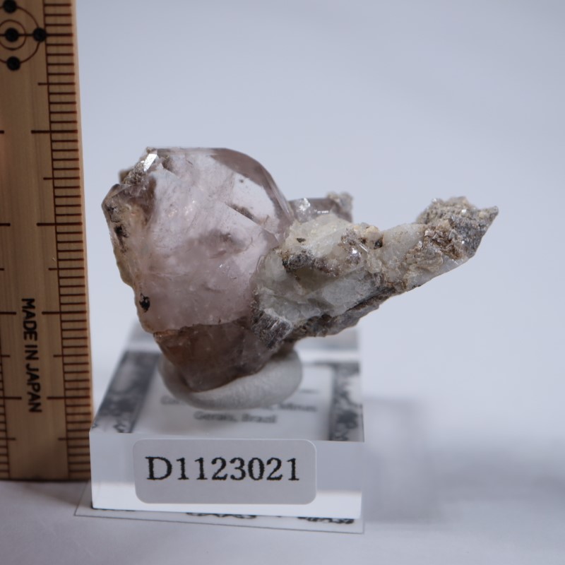 �ߥʥ������饤��������륬�ʥ���