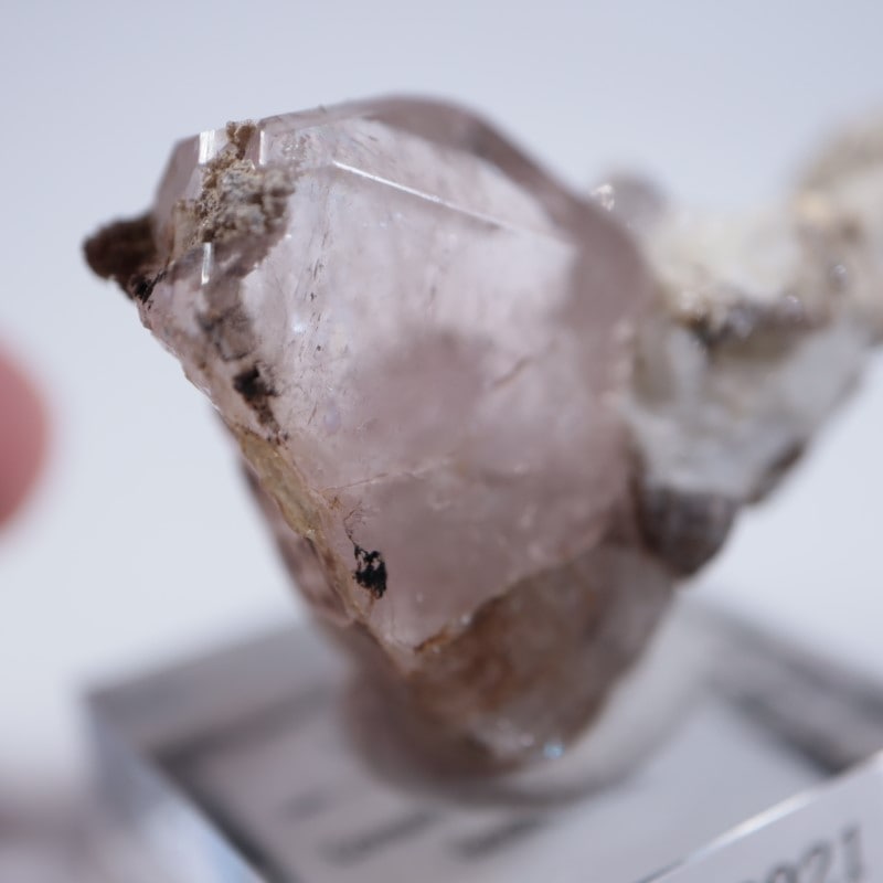 �ߥʥ������饤��������륬�ʥ���