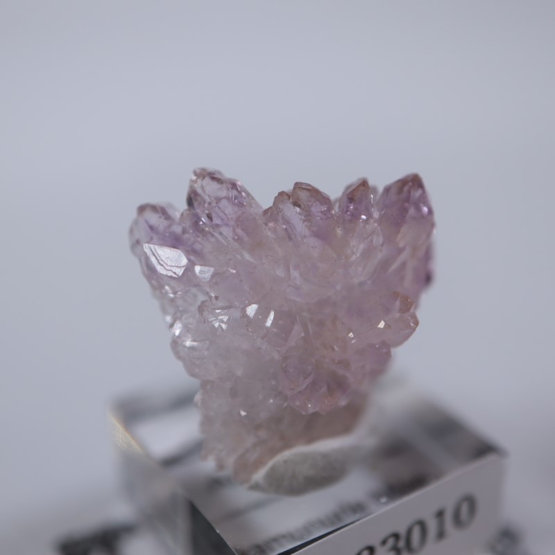 Karur�������᥷����