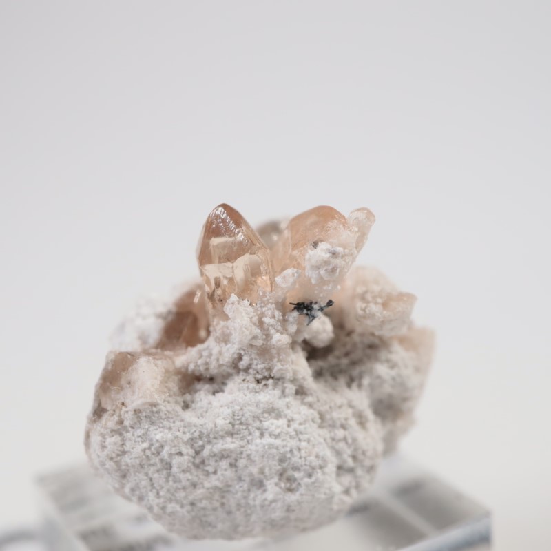 Solar Wind�ۻ����ȥѡ���