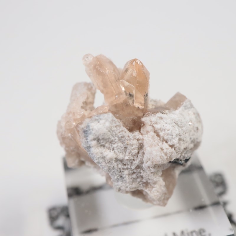 Solar Wind�ۻ����ȥѡ���