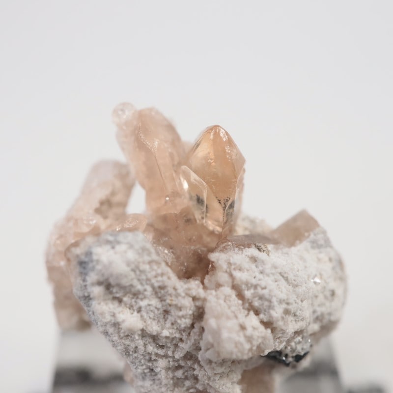 Solar Wind�ۻ����ȥѡ���