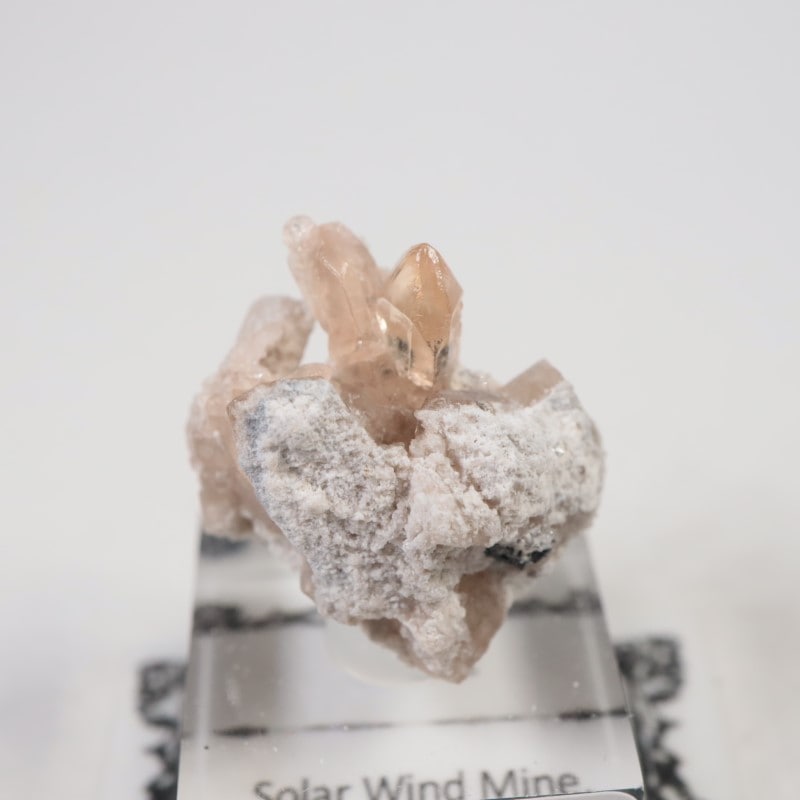 Solar Wind�ۻ����ȥѡ���