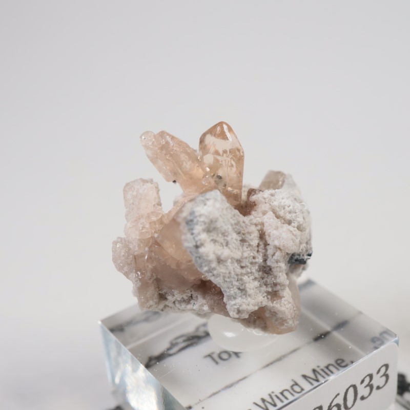 Solar Wind�ۻ����ȥѡ���