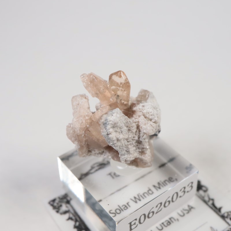 Solar Wind�ۻ����ȥѡ���