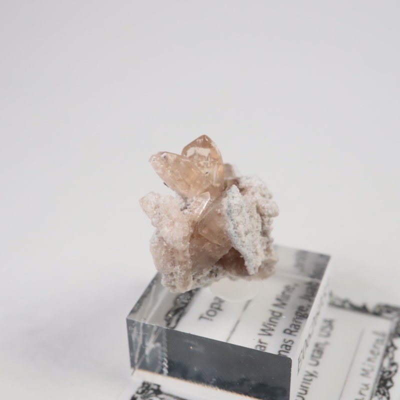 Solar Wind�ۻ����ȥѡ���