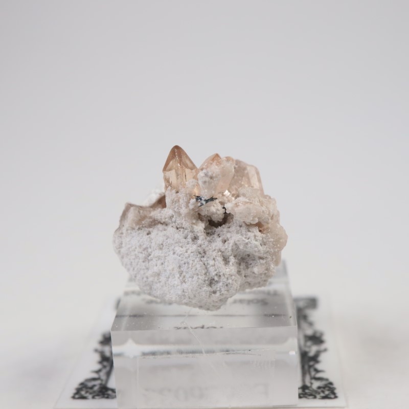 Solar Wind�ۻ����ȥѡ���