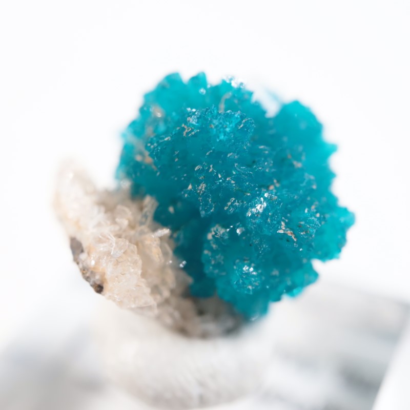 ����ɻ� ���Х󥵥���