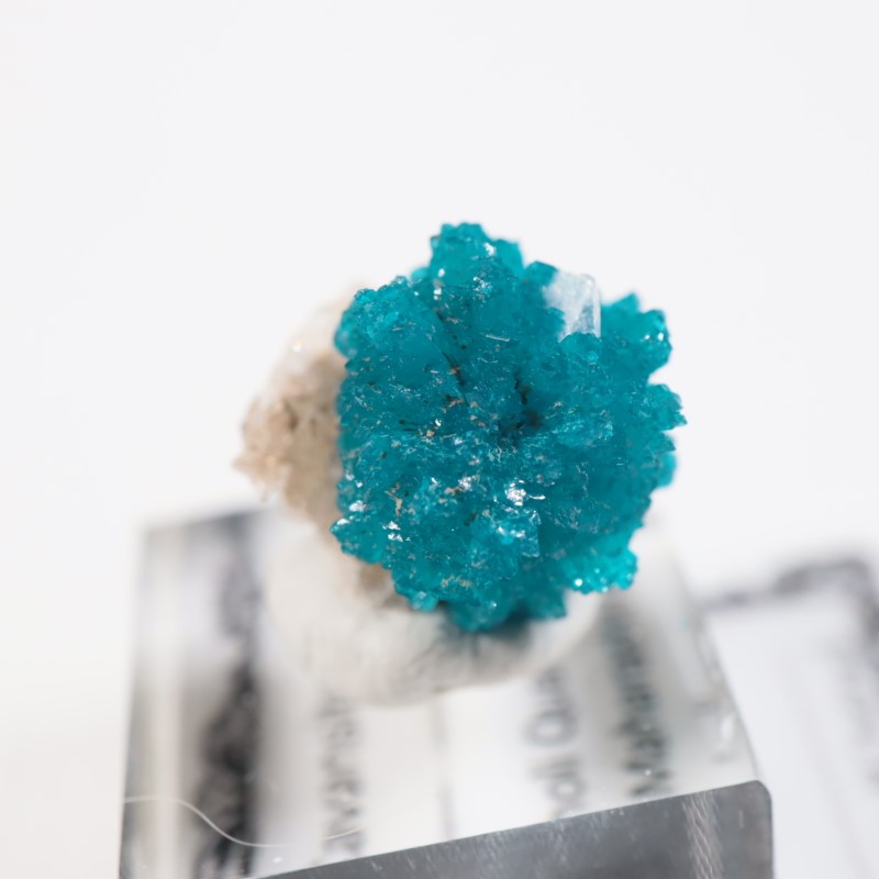 ����ɻ� ���Х󥵥���