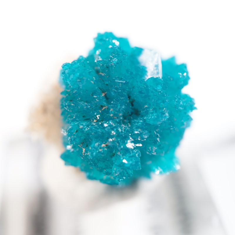 ����ɻ� ���Х󥵥���