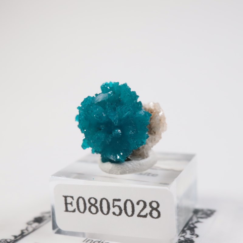 ����ɻ� ���Х󥵥���