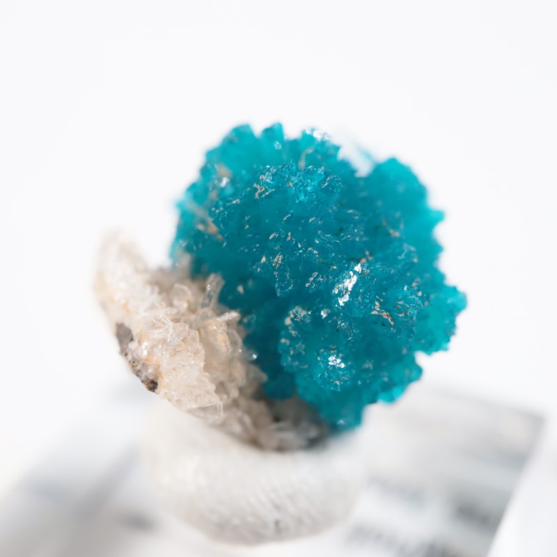 ����ɻ� ���Х󥵥���