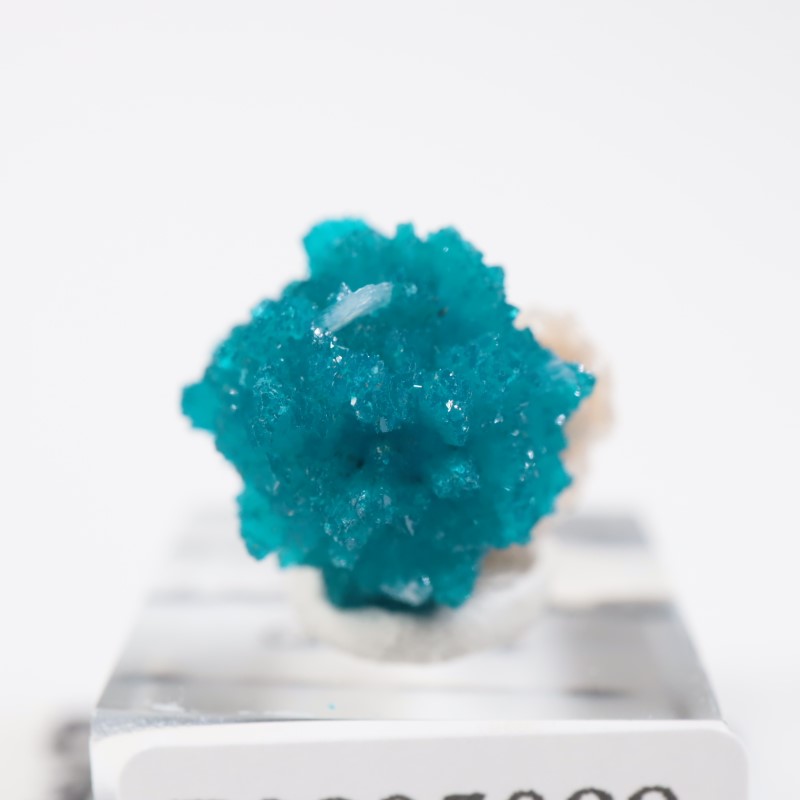 ����ɻ� ���Х󥵥���