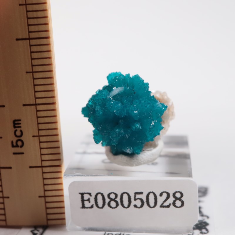 ����ɻ� ���Х󥵥���