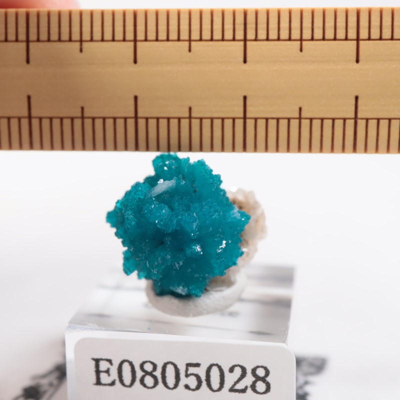 ����ɻ� ���Х󥵥���