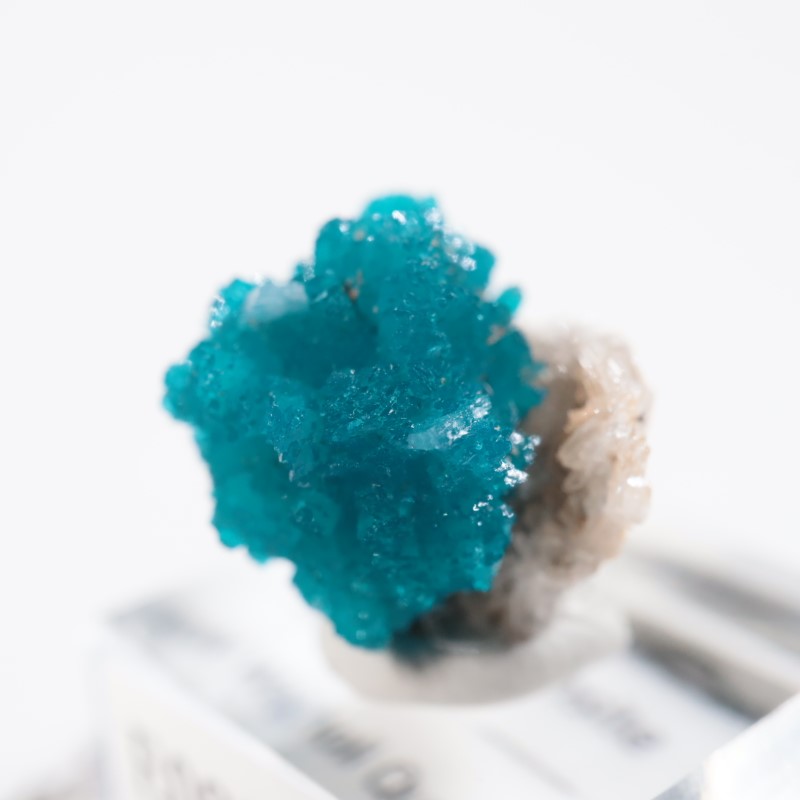 ����ɻ� ���Х󥵥���