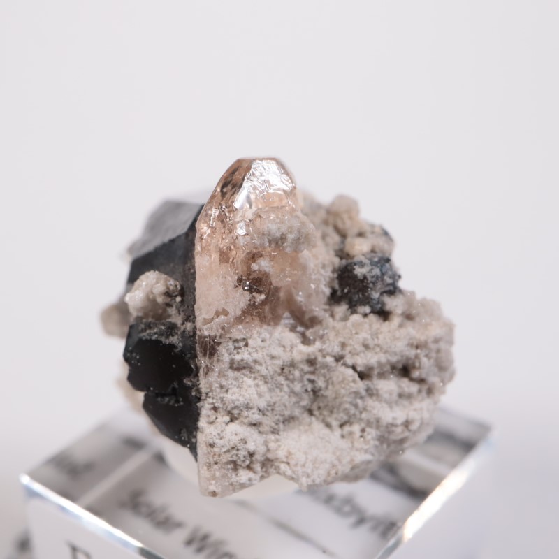 Solar Wind�ۻ����ȥѡ������ӥ����ӥ�����