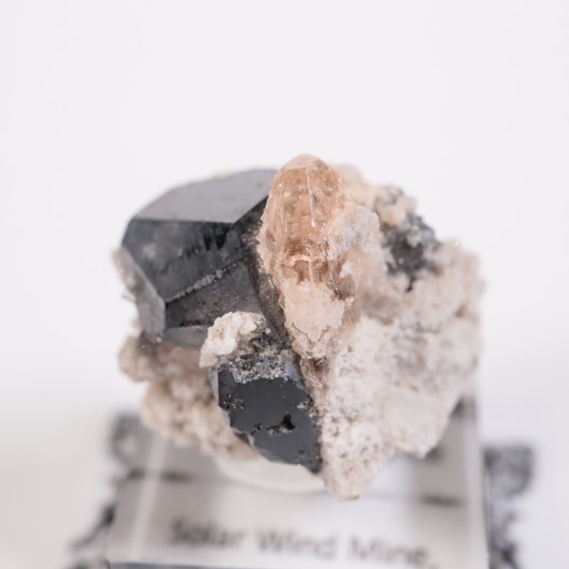 Solar Wind�ۻ����ȥѡ������ӥ����ӥ�����