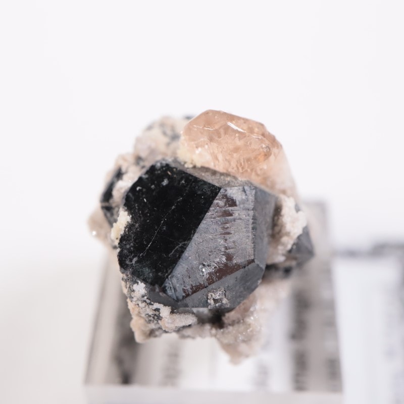 Solar Wind�ۻ����ȥѡ������ӥ����ӥ�����