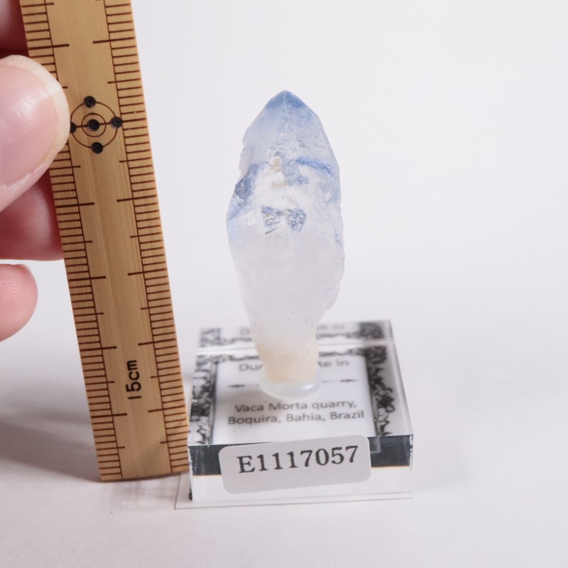 �֥饸�뻺 �ǥ�������饤�ȥ��󥯥�����