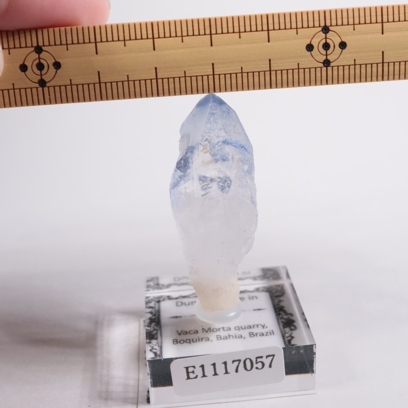 �֥饸�뻺 �ǥ�������饤�ȥ��󥯥�����