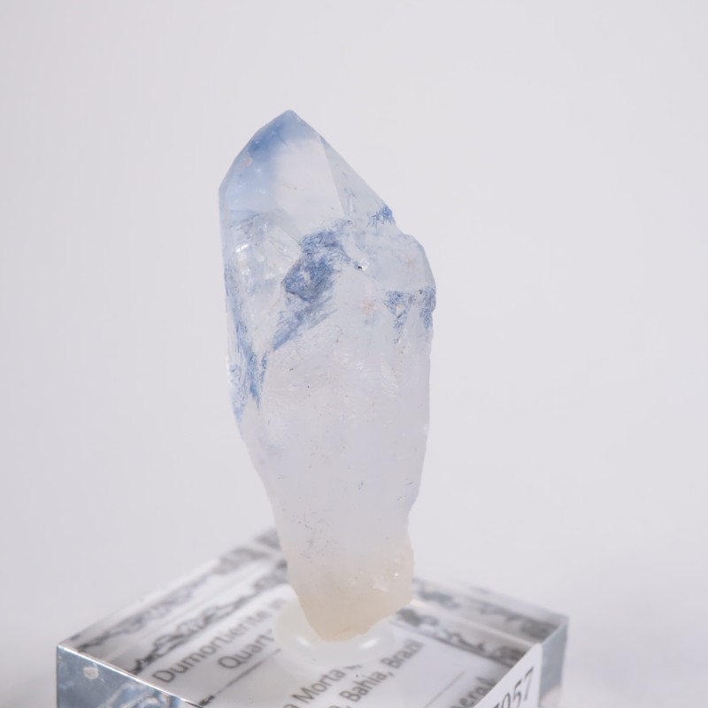 �֥饸�뻺 �ǥ�������饤�ȥ��󥯥�����