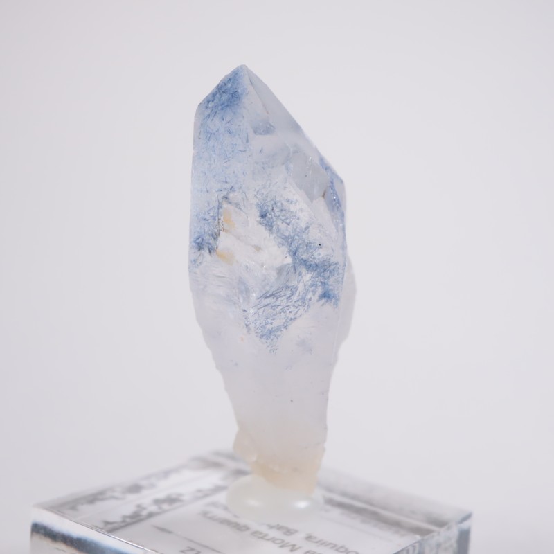 �֥饸�뻺 �ǥ�������饤�ȥ��󥯥�����