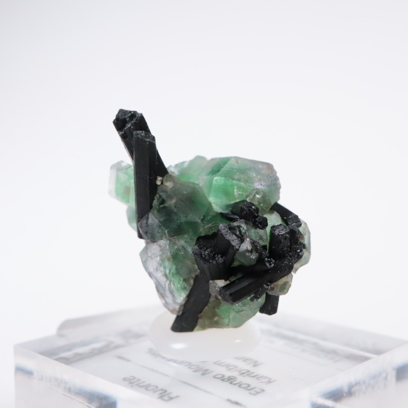 �����󥴹ۻ� �ե����饤��