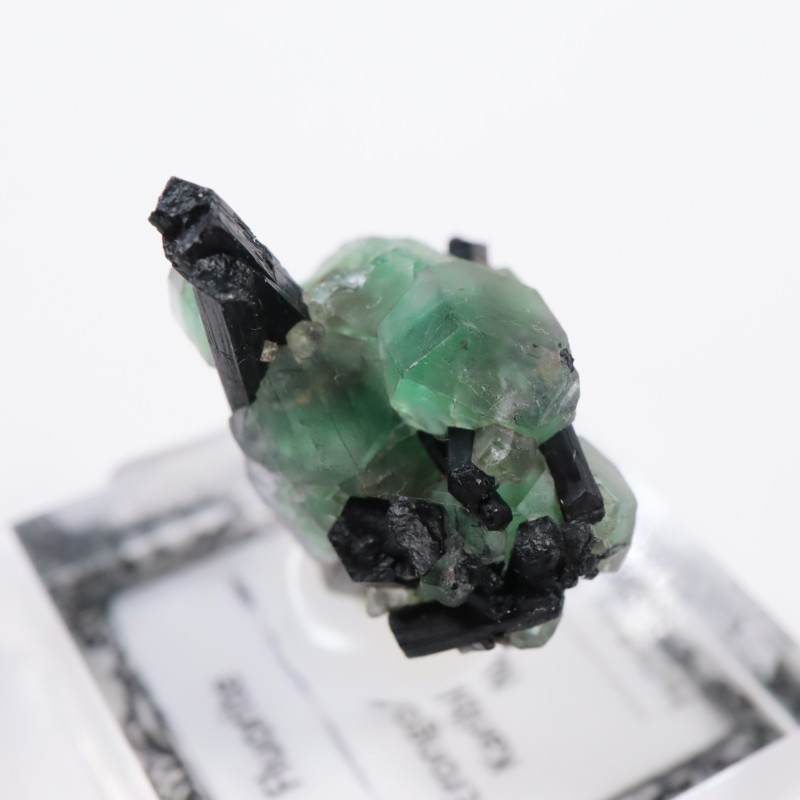 �����󥴹ۻ� �ե����饤��