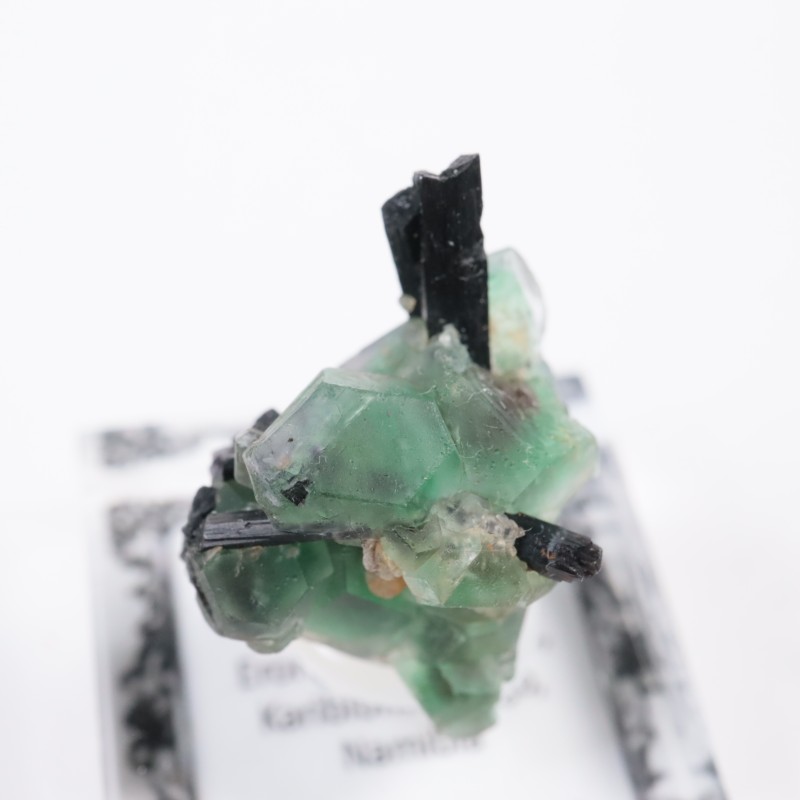 �����󥴹ۻ� �ե����饤��