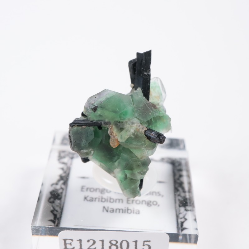 �����󥴹ۻ� �ե����饤��