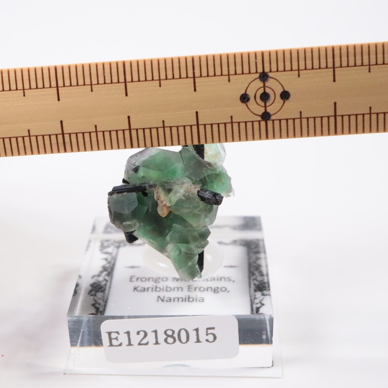 �����󥴹ۻ� �ե����饤��