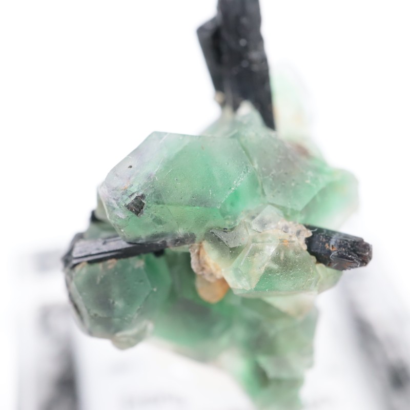 �����󥴹ۻ� �ե����饤��