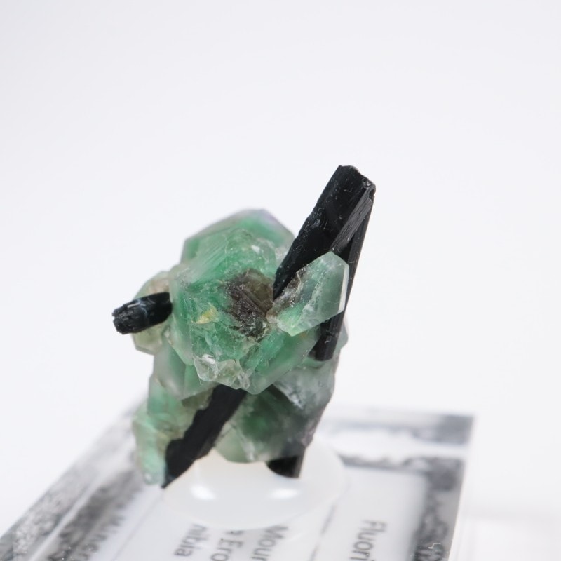 �����󥴹ۻ� �ե����饤��